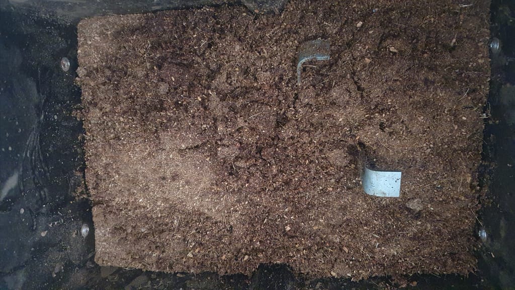 Feststoffbehälter der BioTioo mit Kokosfasern nach mehreren Wochen Nutzung