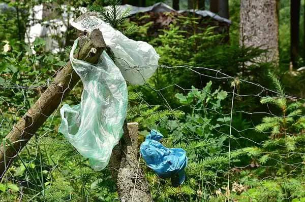 Müllbeutel im Wald als Symbolbild für Entsorgung unterwegs